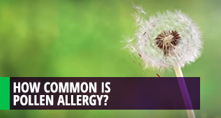 How common is pollen allergy? Etc