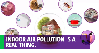 Indoor air pollution is a real thing.
